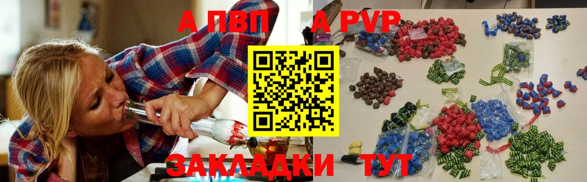 APVP СК Бердск