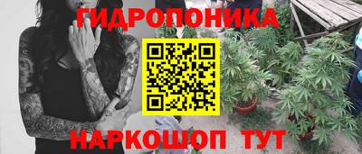 соль ск Тосно