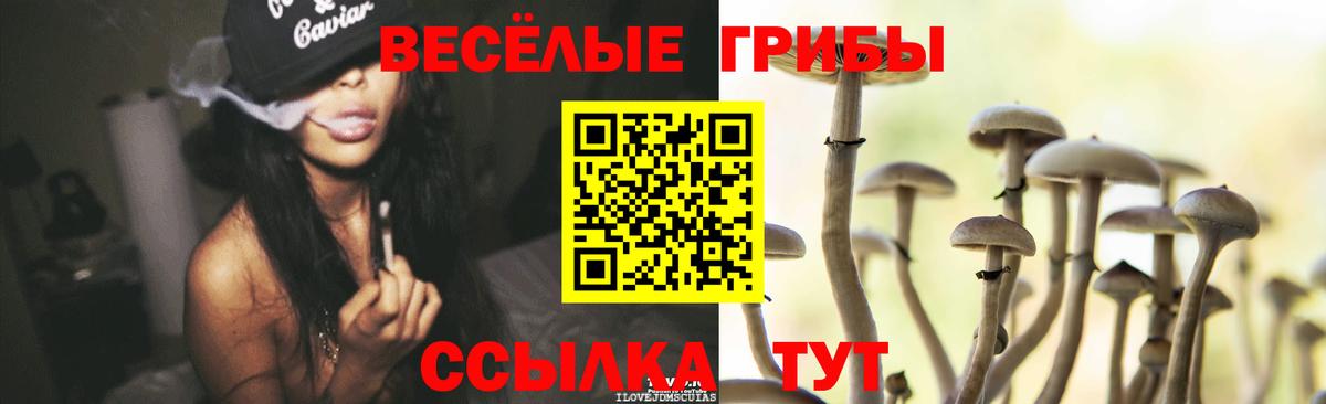Галлюциногенные грибы MAGIC MUSHROOMS  Галлюциногенные грибы ЛСД  Вход с VPN  Бердск 
